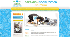Desktop Screenshot of operationsocialization.com